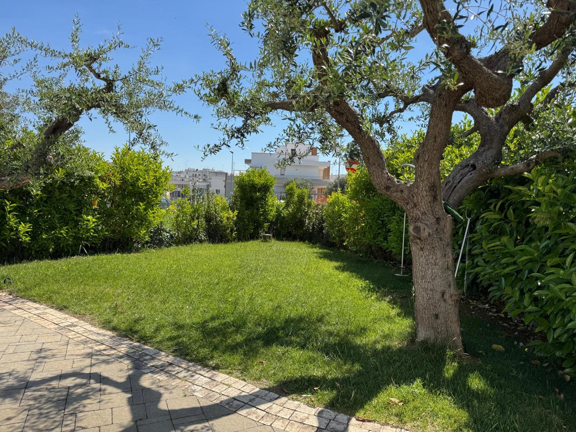 I Cinque Ulivi Apartman Alberobello Kültér fotó